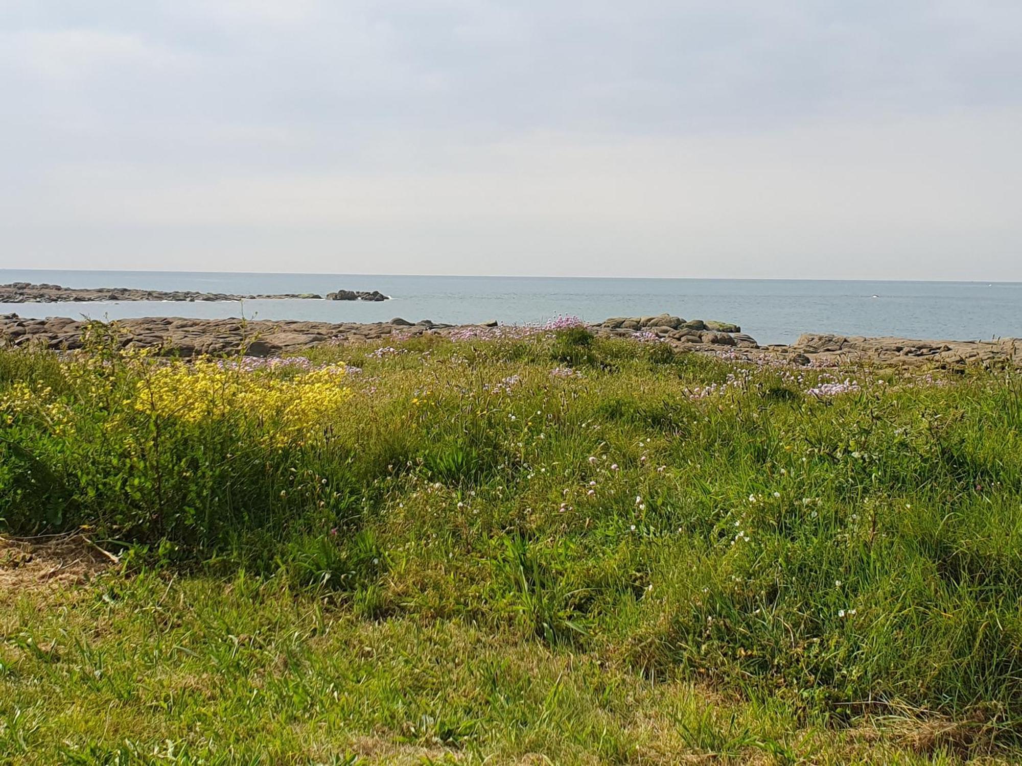 Le Relais Du Phare Hotel Gatteville-le-Phare Luaran gambar
